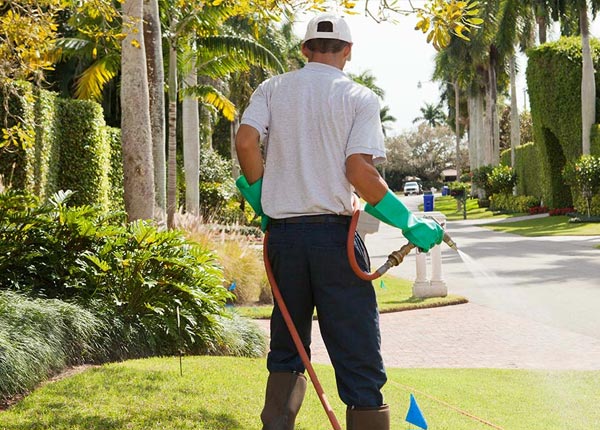 About Warner NH Pest Control Pros